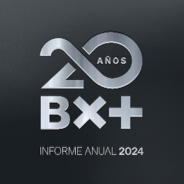 Informe Anual 2024